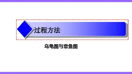IATF16949过程方法及乌龟图讲解.