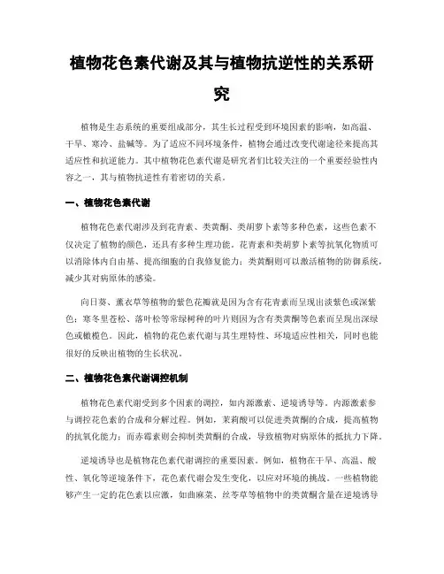 植物花色素代谢及其与植物抗逆性的关系研究