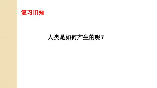 人类的起源和发展课件(人教版生物)
