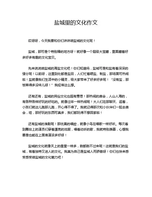 盐城里的文化作文