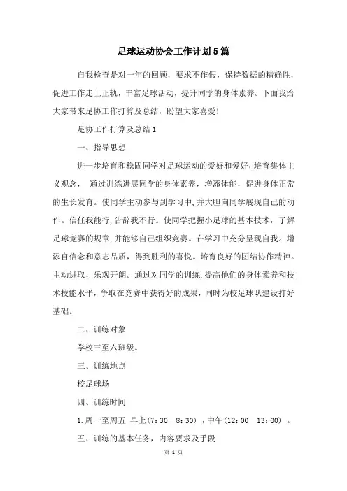足球运动协会工作计划5篇