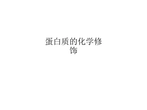 蛋白质的化学修饰