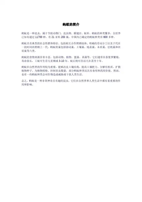 蚂蚁的简介