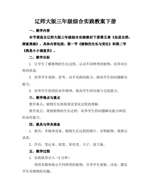 辽师大版三年级综合实践教案下册