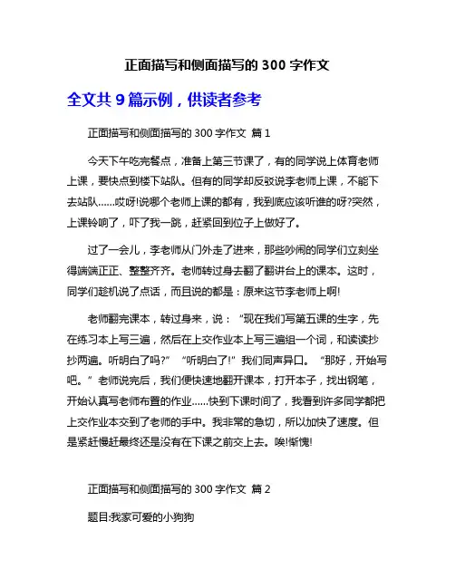 正面描写和侧面描写的300字作文