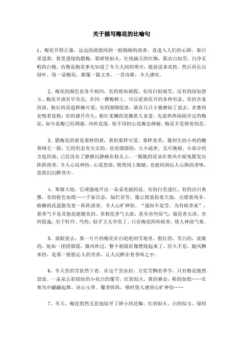 关于描写梅花的比喻句