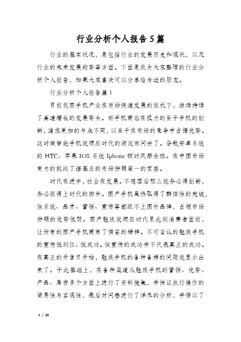 行业分析个人报告5篇