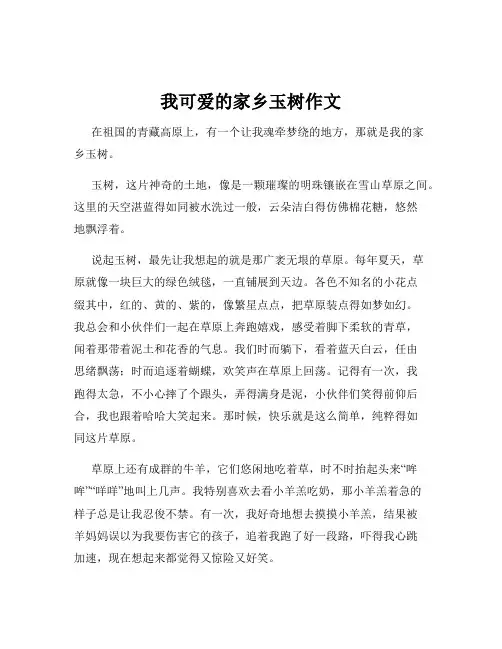 我可爱的家乡玉树作文