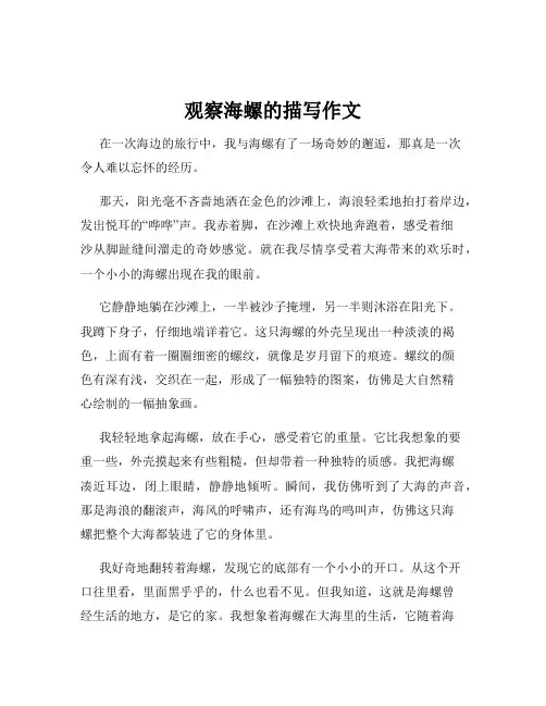 观察海螺的描写作文