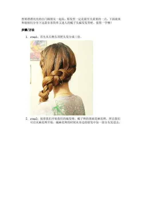 蝎子编