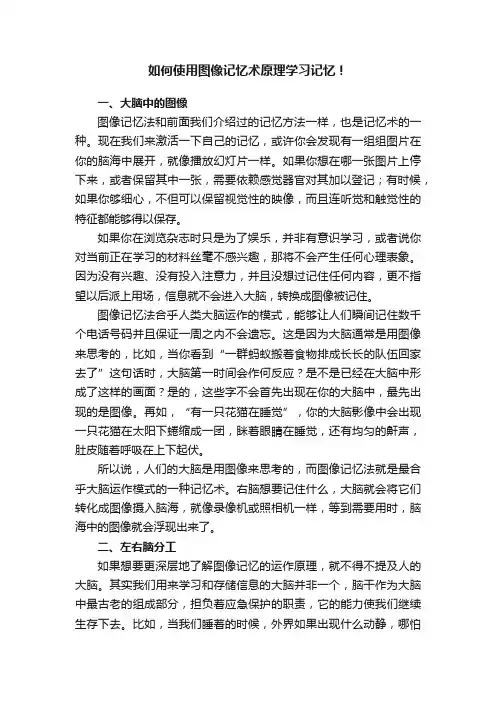 如何使用图像记忆术原理学习记忆！