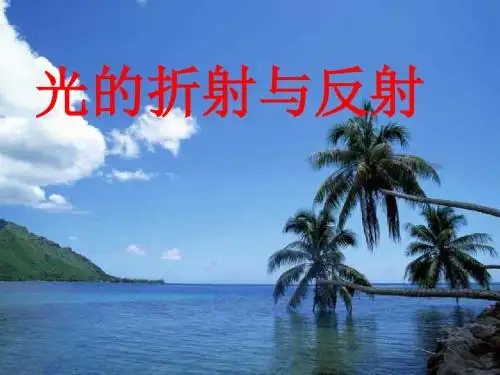 光的折射与反射