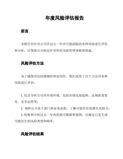 年度风险评估报告