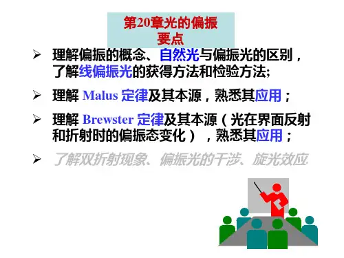 20光的偏振详解