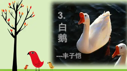 白鹅.  课件(完美版)ppt