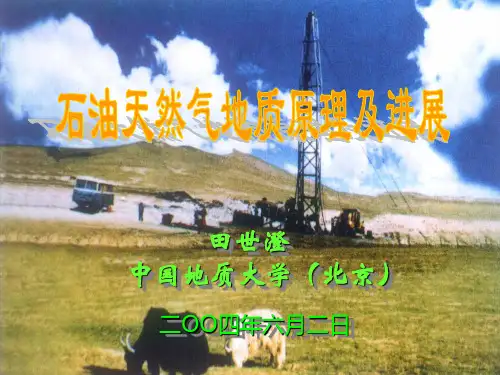 石油天然气地质学原理和进展田世澄