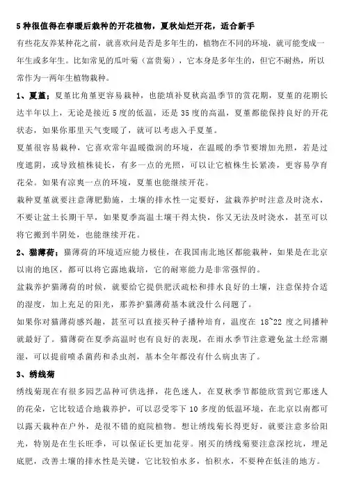 5种很值得在春暖后栽种的开花植物,夏秋灿烂开花,适合新手