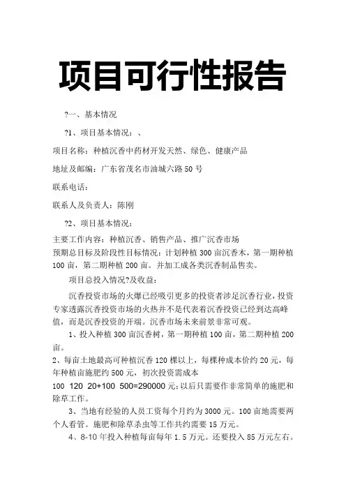 项目可行性报告