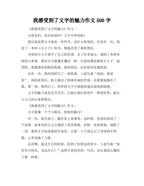 我感受到了文字的魅力作文500字