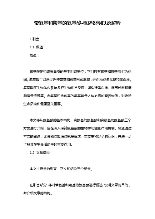 带氨基和羧基的氨基酸-概述说明以及解释