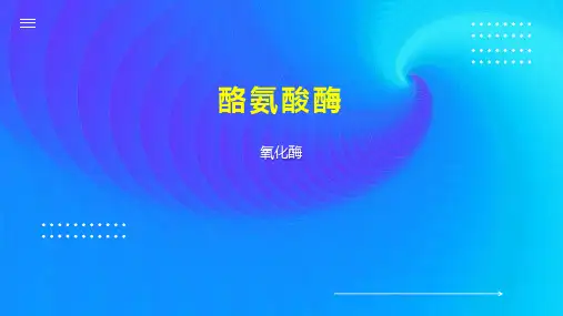 酪氨酸酶    