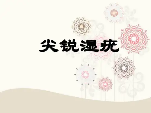 尖锐湿疣ppt课件