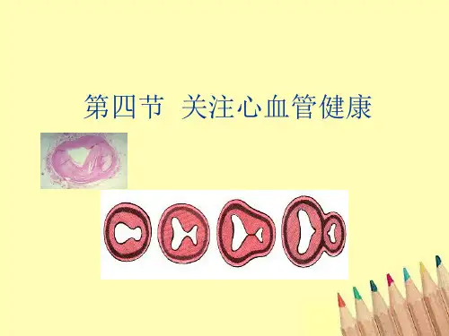 七年级生物下册 3.3.4《关注心血管健康》课件 济南版