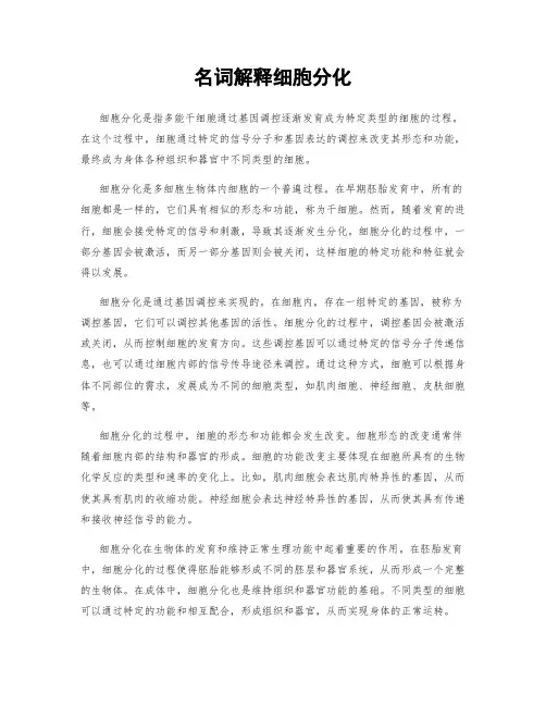名词解释细胞分化