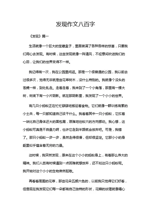 发现作文八百字
