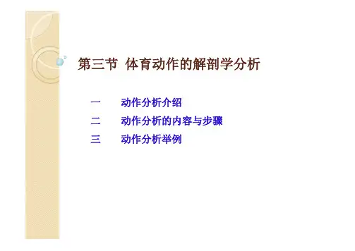 运动解剖学3-3动作分析的基本理论(人民体育)