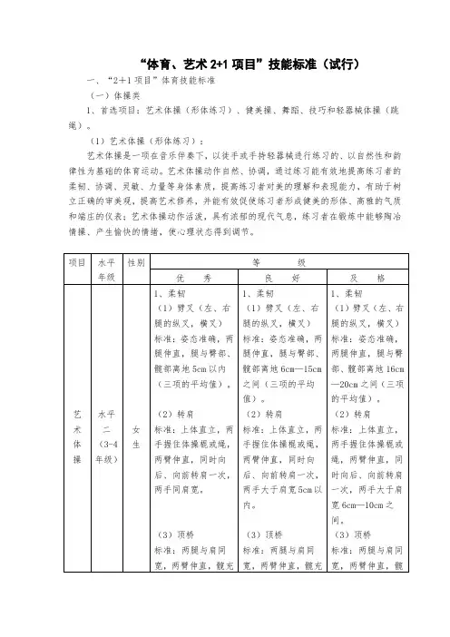 国家“体育艺术+项目”技能标准试行