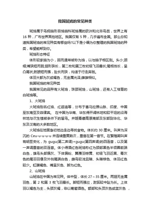 我国斑鸠的常见种类