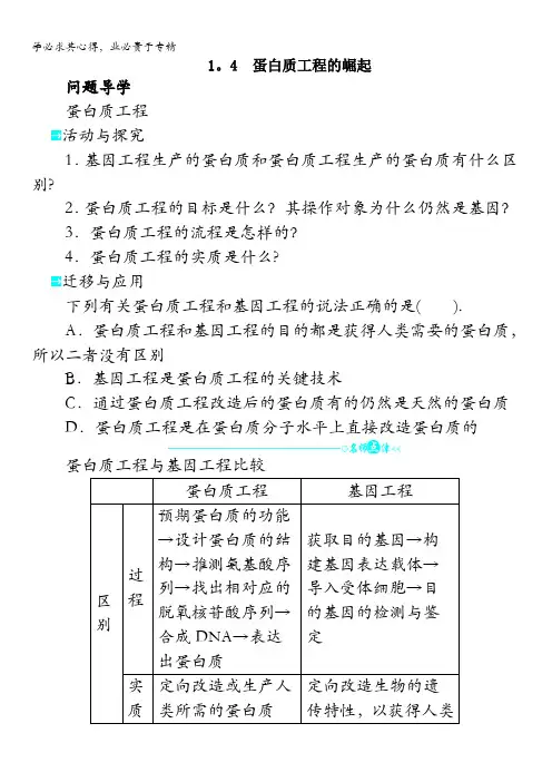 生物学案： 蛋白质工程的崛起