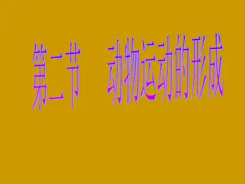 动物运动的形成1.ppt