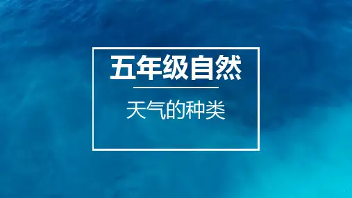 天气的种类
