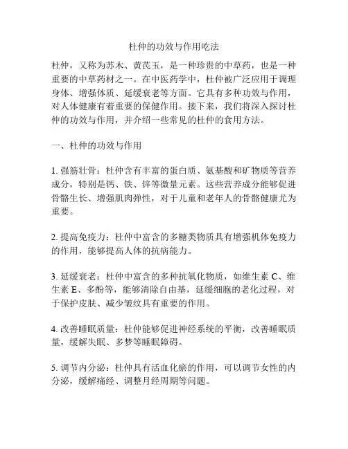 杜仲的功效与作用吃法