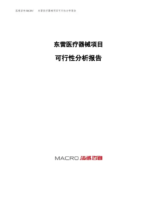 东营医疗器械项目可行性分析报告