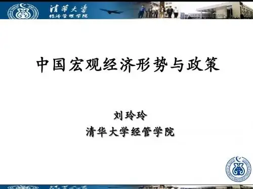 清华大学刘玲玲教授-宏观经济