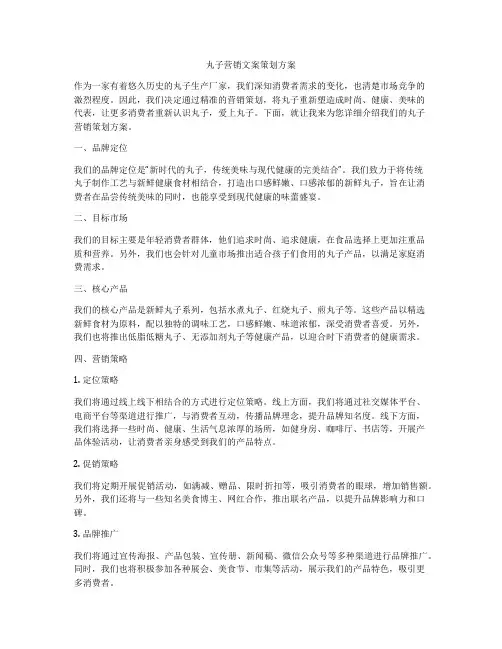 丸子营销文案策划方案