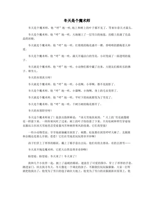 冬天是个魔术师
