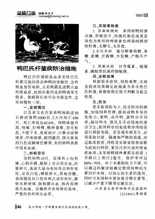鸭巴氏杆菌病防治措施