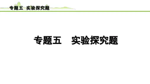 2024年中考物理复习课件---专题五+实验探究题