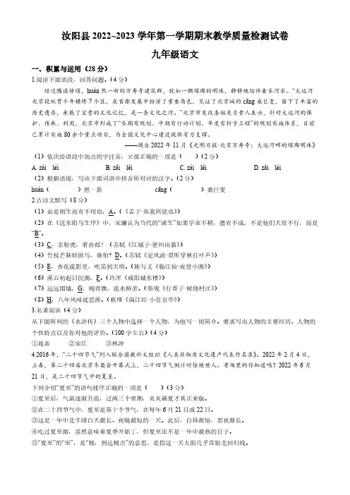 河南省洛阳市汝阳县2022-2023学年九年级上学期期末语文试题(含答案)