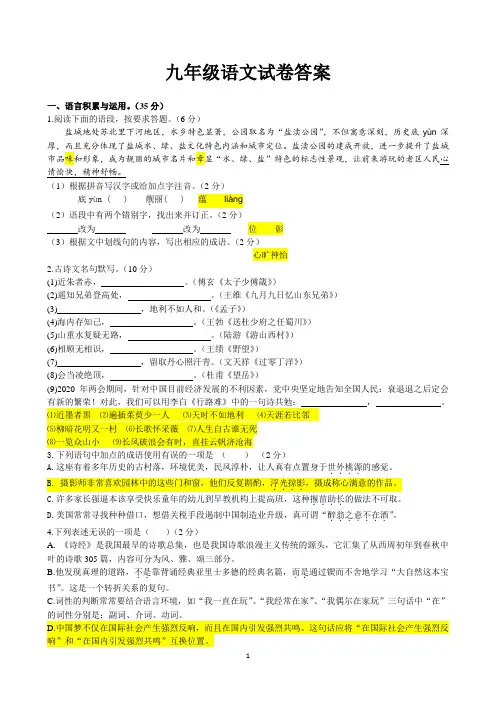 初中语文九年级  适应性训练(含答案)