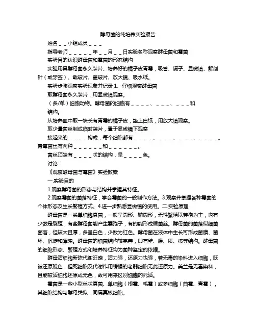 酵母菌的纯培养实验报告