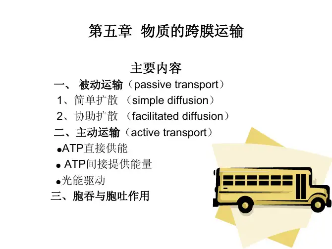 第五章  物质的跨膜运输