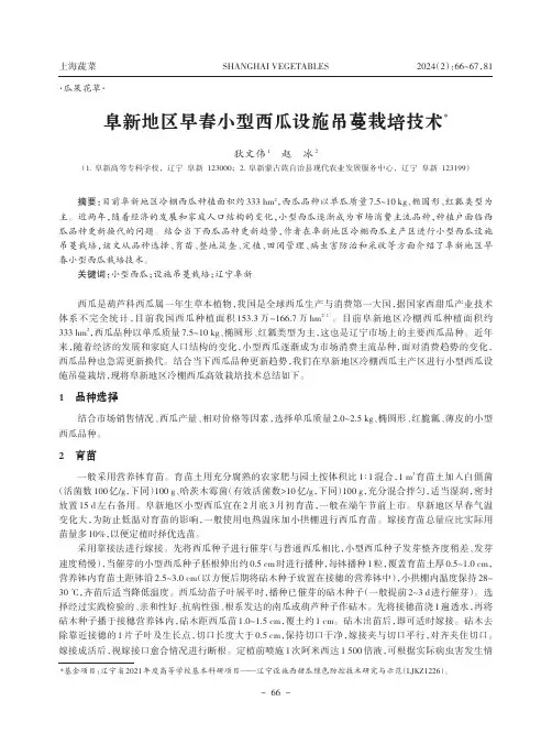 阜新地区早春小型西瓜设施吊蔓栽培技术