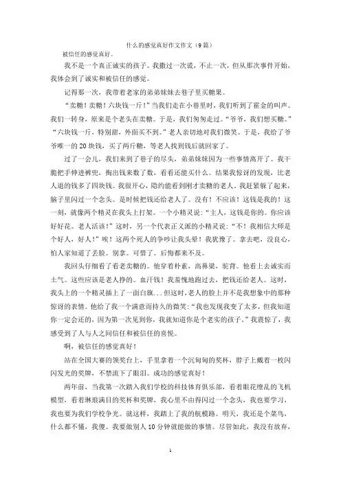 什么的感觉真好作文作文(9篇)