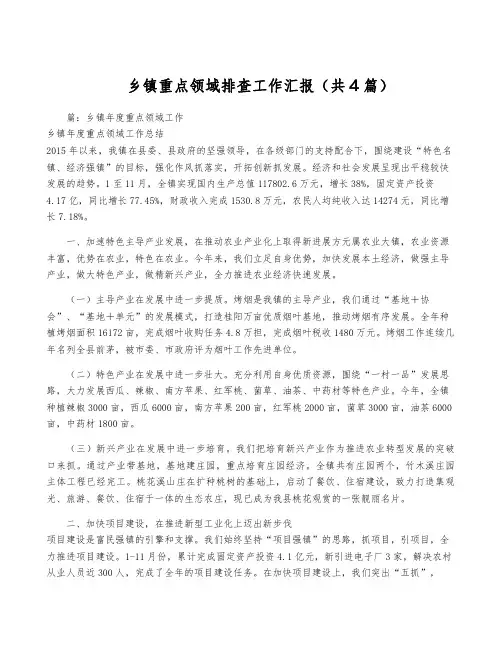 乡镇重点领域排查工作汇报(共4篇)