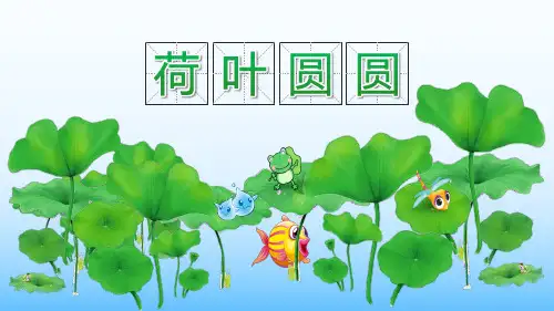 《荷叶圆圆》PPT课件